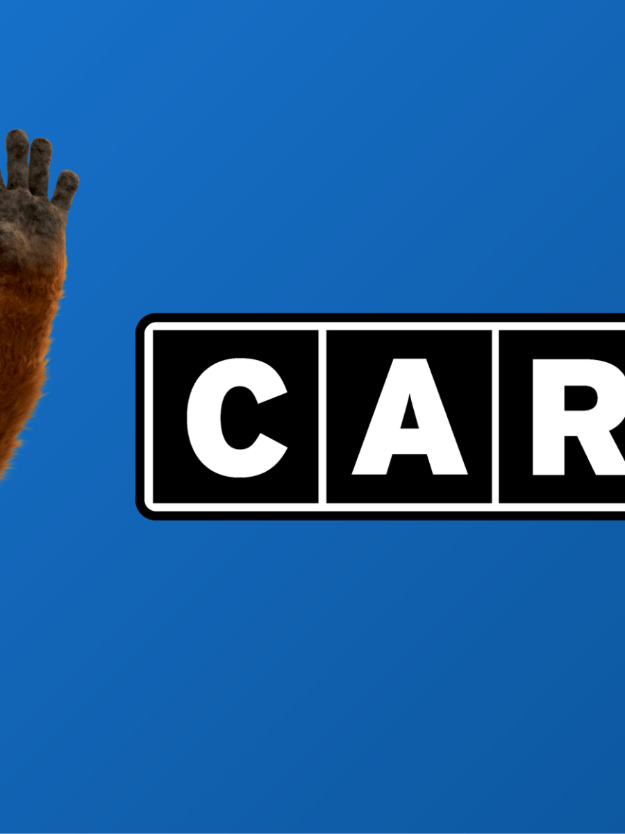 Carfax Nedir? Ne İşe Yarar, Nasıl&nbsp;Kullanılır?