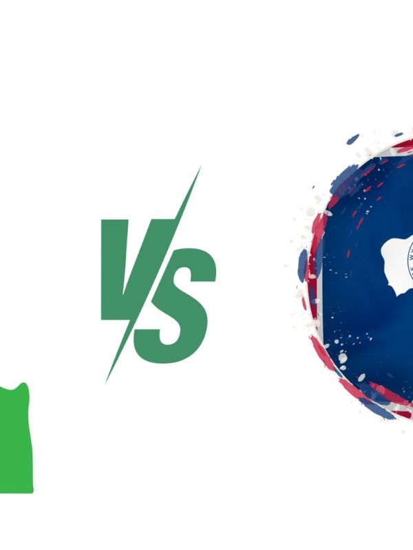 Wyoming mi, Delaware mi? ABD’de LLC Kurmak İçin En İyi Eyalet&nbsp;Hangisi?